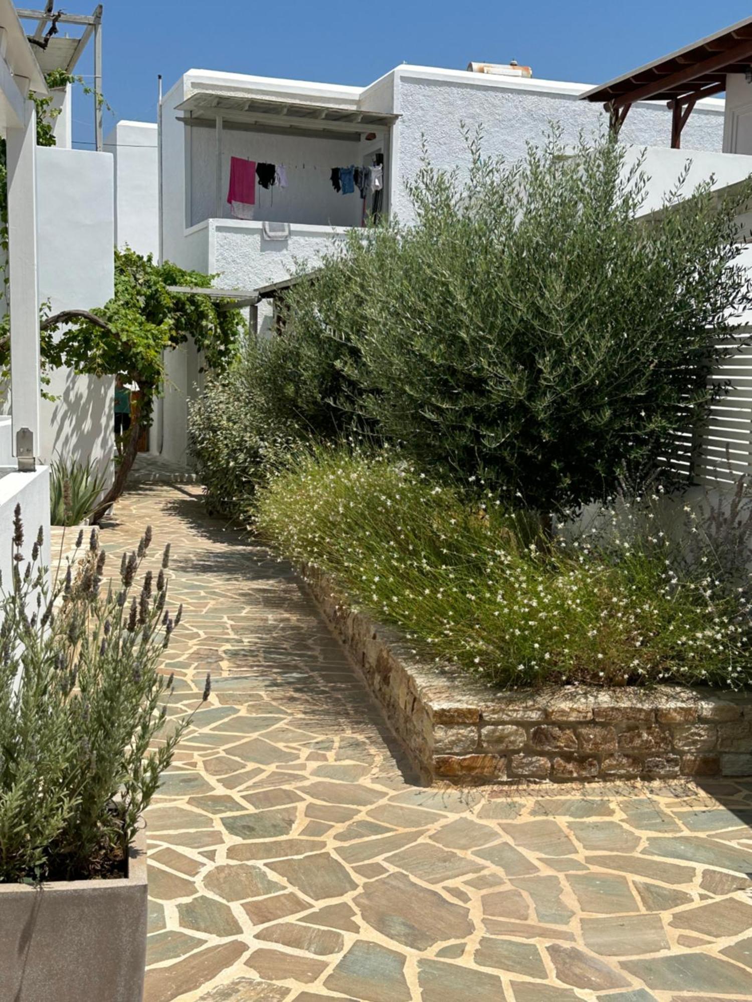 Levanda Guest Houses Αντίπαρος Εξωτερικό φωτογραφία